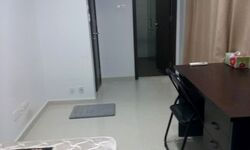 Lorong Mydin (D14), Semi-Detached #571797141